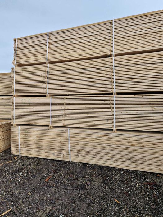 Cherestea, BRAD, Molid, STEJAR, FRASIN, Tei