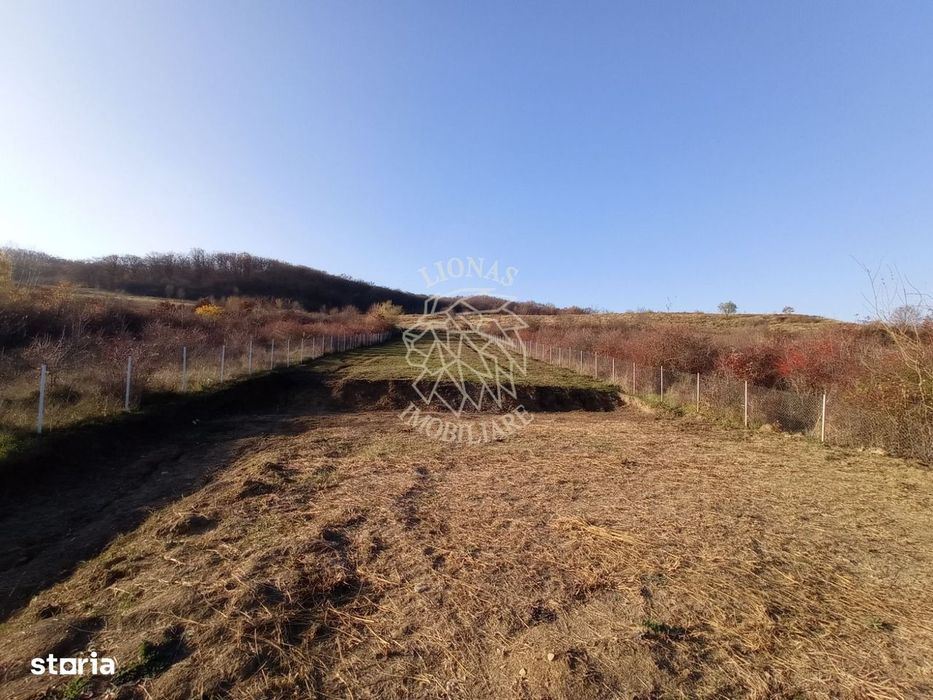 Teren intravilan 2700 mp-ideal case/investitie-Viisoara