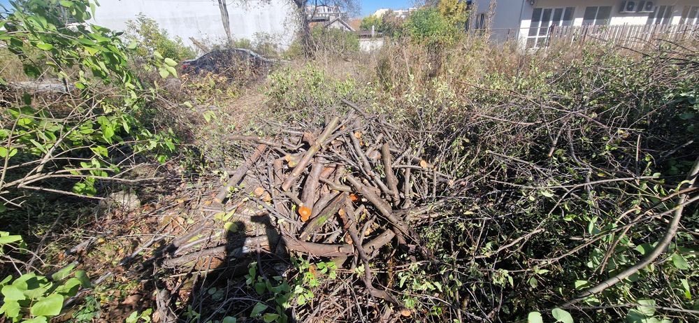 Безплатно/ Дърва за огрев различни видове,нарязани.