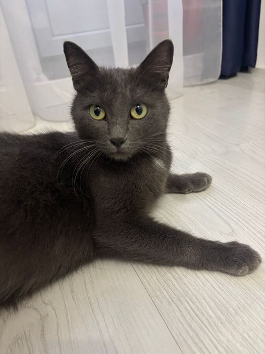 Девочка беременная