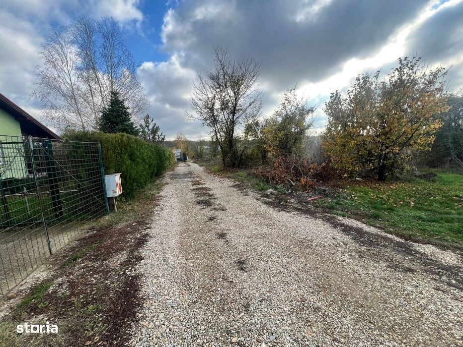 Teren 1000 mp intravilan Ciolpani-Piscu