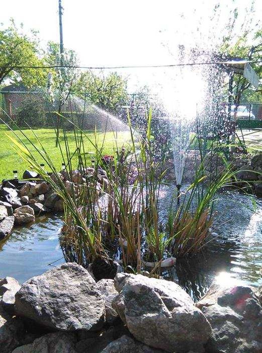 Amenajare grădini,toaletare pomi,scarificare-insamantare gazon!