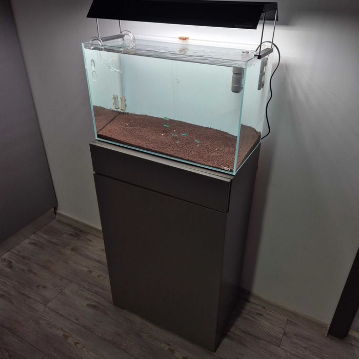 Setup complet acvariu Ada 60p aquascaping