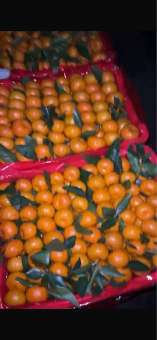 Мандарин 1 яшик 7000