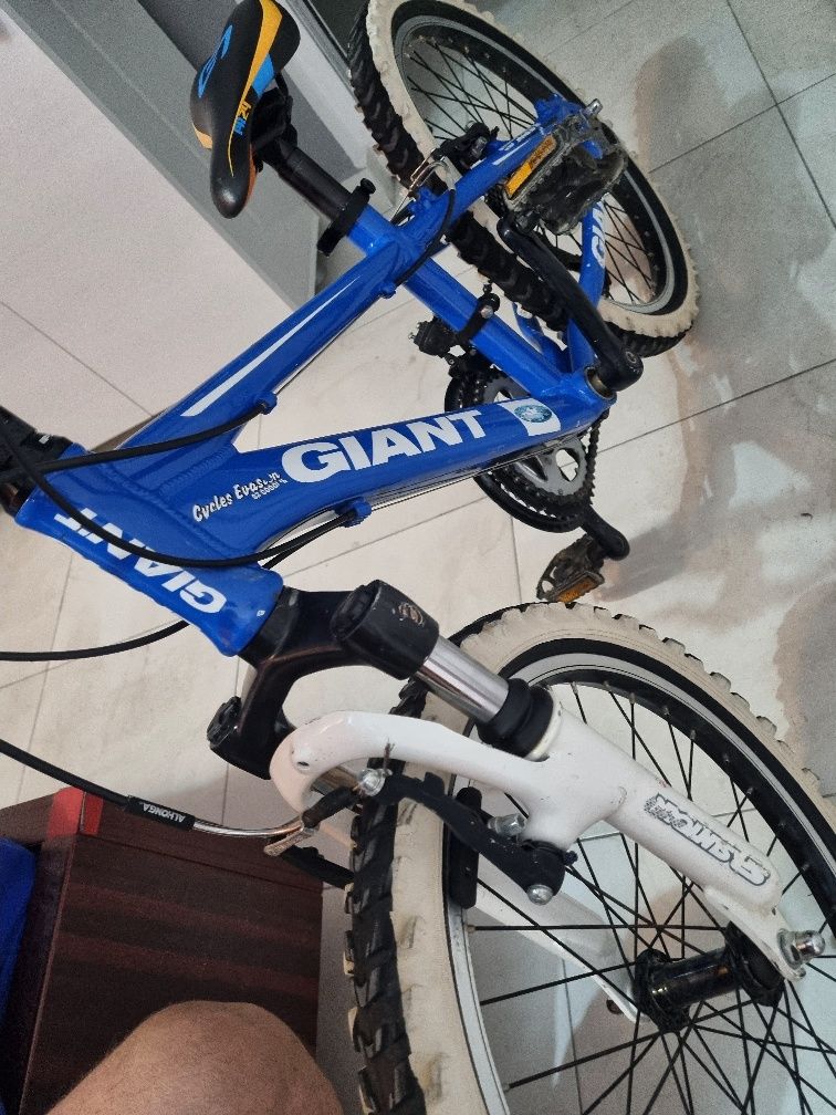 Giant xtc jr 20 bicicleta copii 5-9 ani