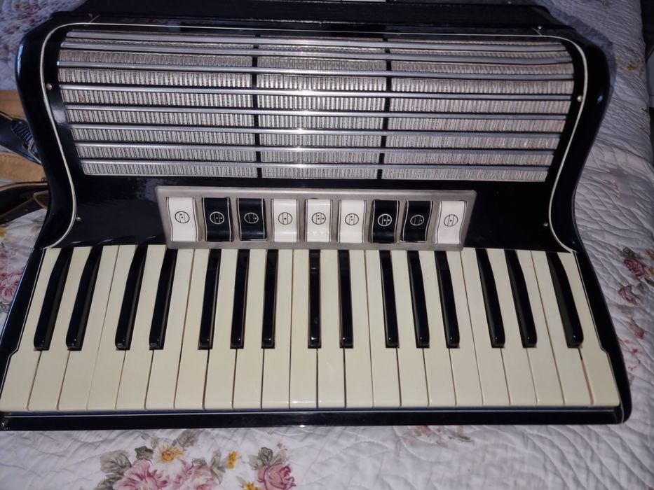 Acordeon Honer 90 basi