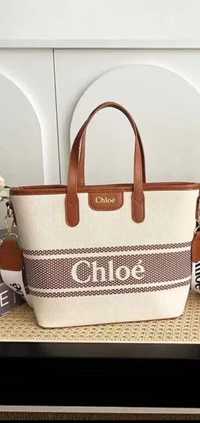 Geanta Chloe model 2024