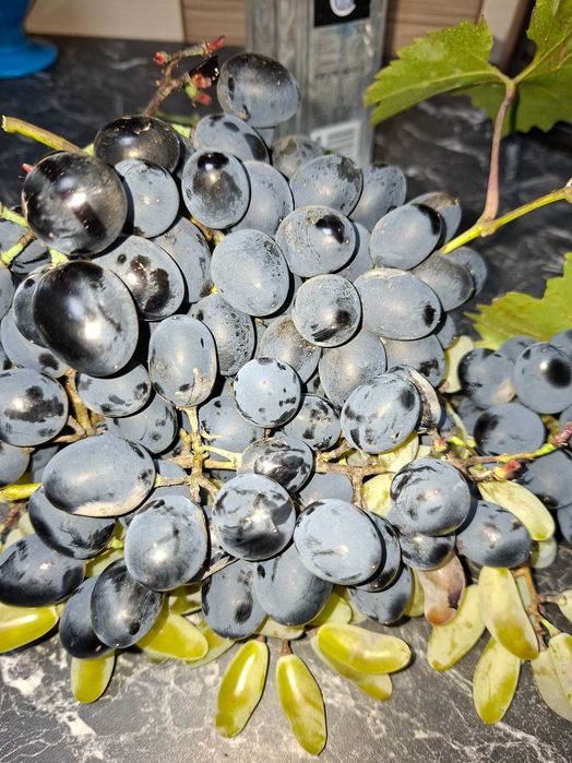 Struguri de vânzare