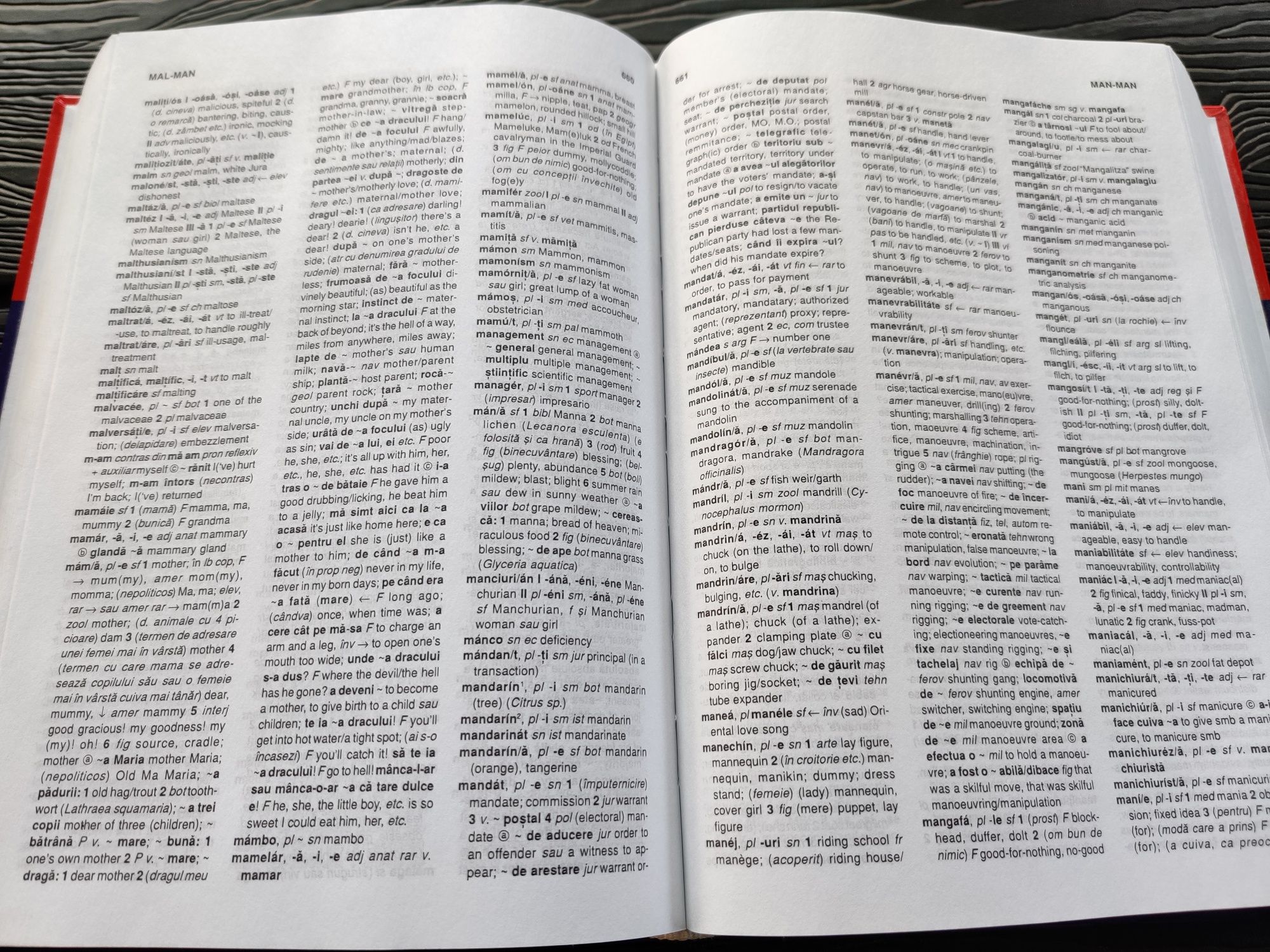 Dictionar Roman Englez