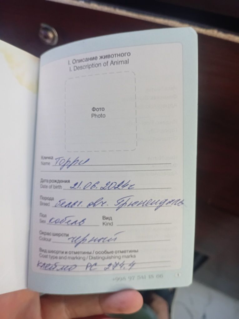 Афчарка российский в двоих продаю