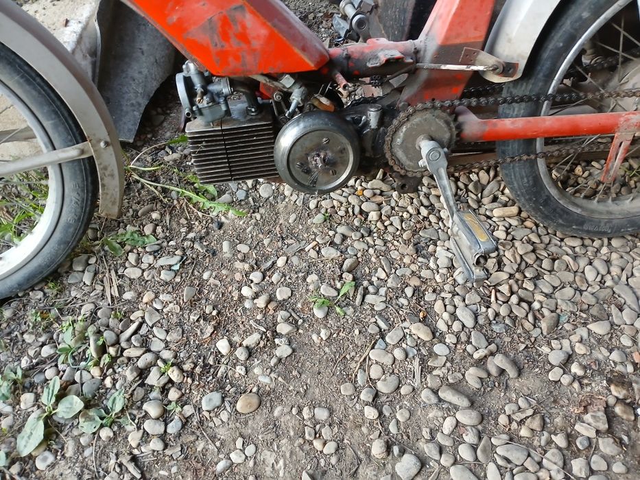 Moped  Java babeta    50