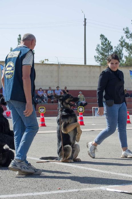 Инструктор дрессировщик