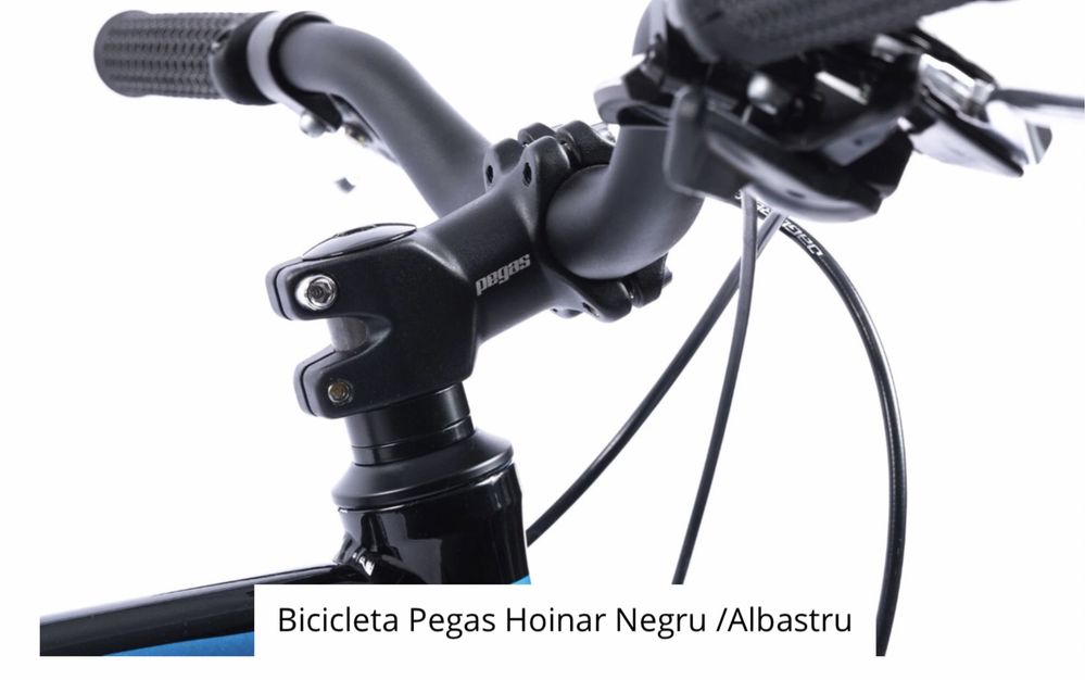 Bicicleta Pegas Hoinar Negru /Albastru