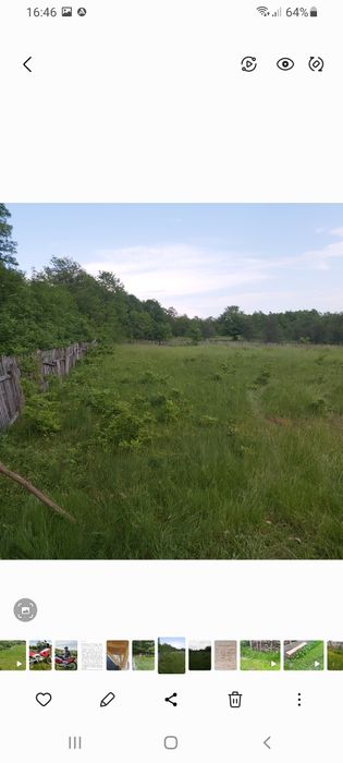 Teren de vânzare 2 hectare 142m² Coșevița jud.Timiș