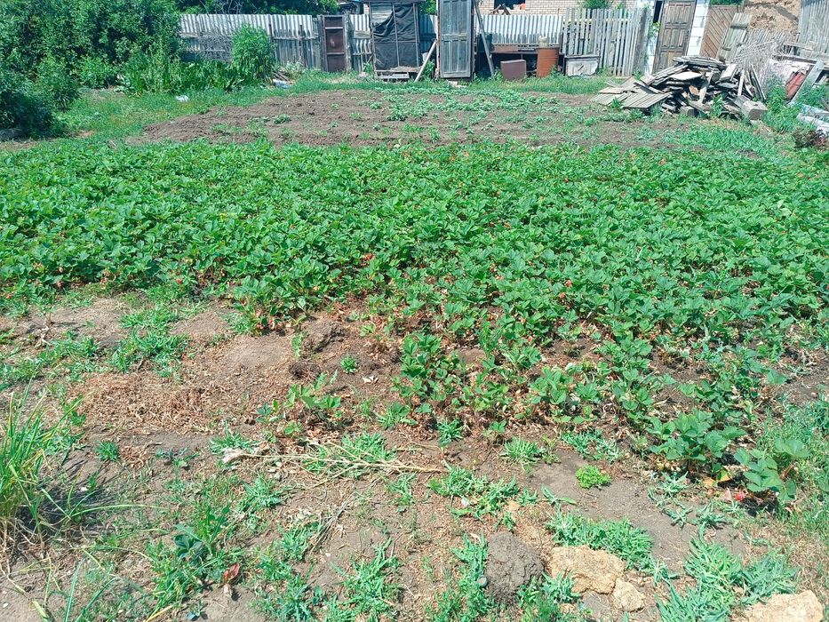 Дом в центре Жилянки