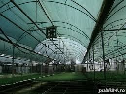 Plasa filtru UV Umbrire 35%-40%-50% -Culturi Agricole.Ochiuri Prindere