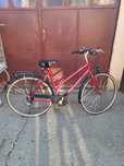 Biciclete de dama și bărbați