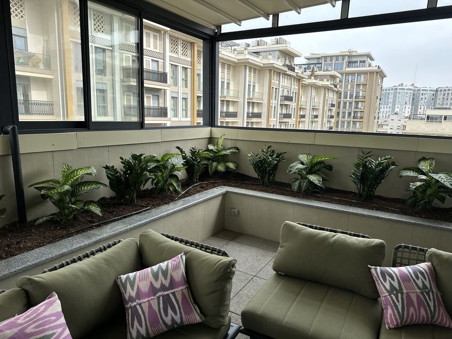 Цветы для офиса и дома в горшках оптом