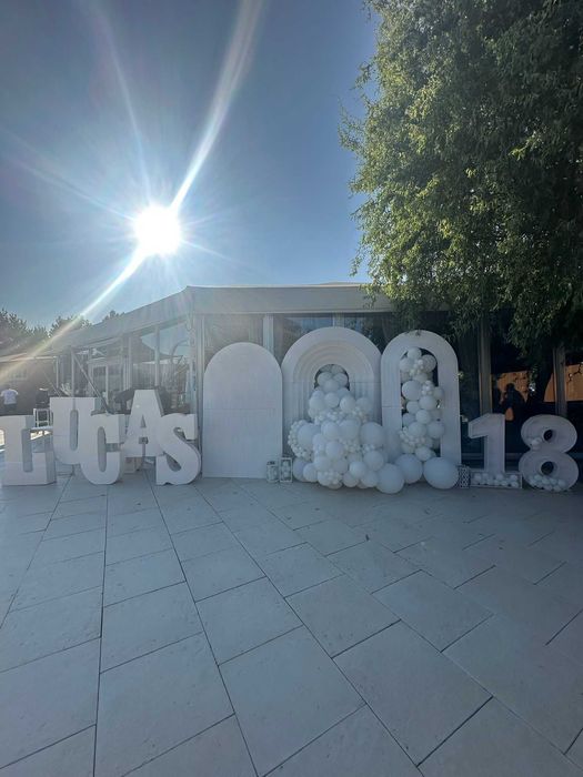 Aranjamente baloane/florale