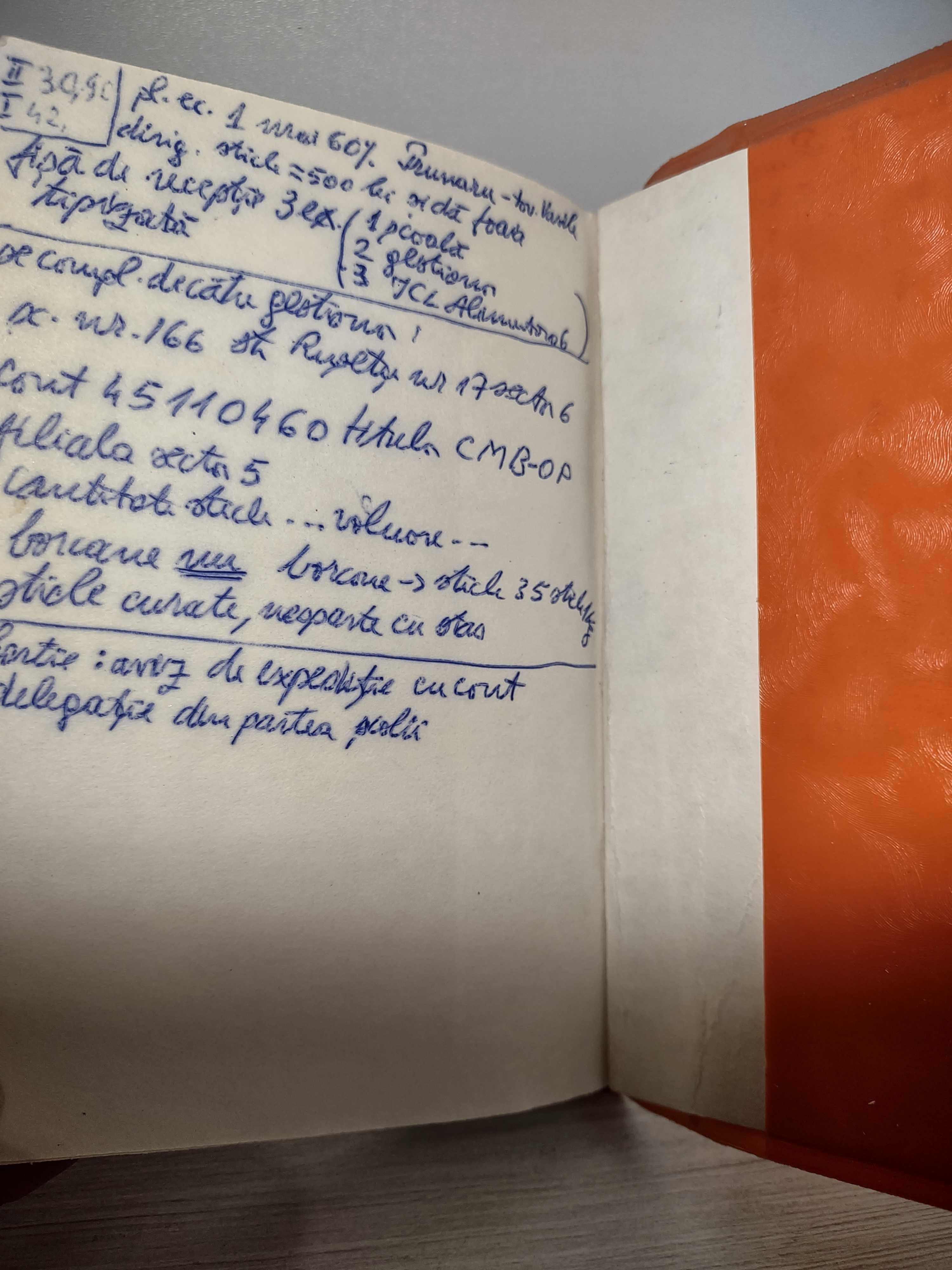 Comunism, Carnetul comandantului -instructor de pionier An 1984