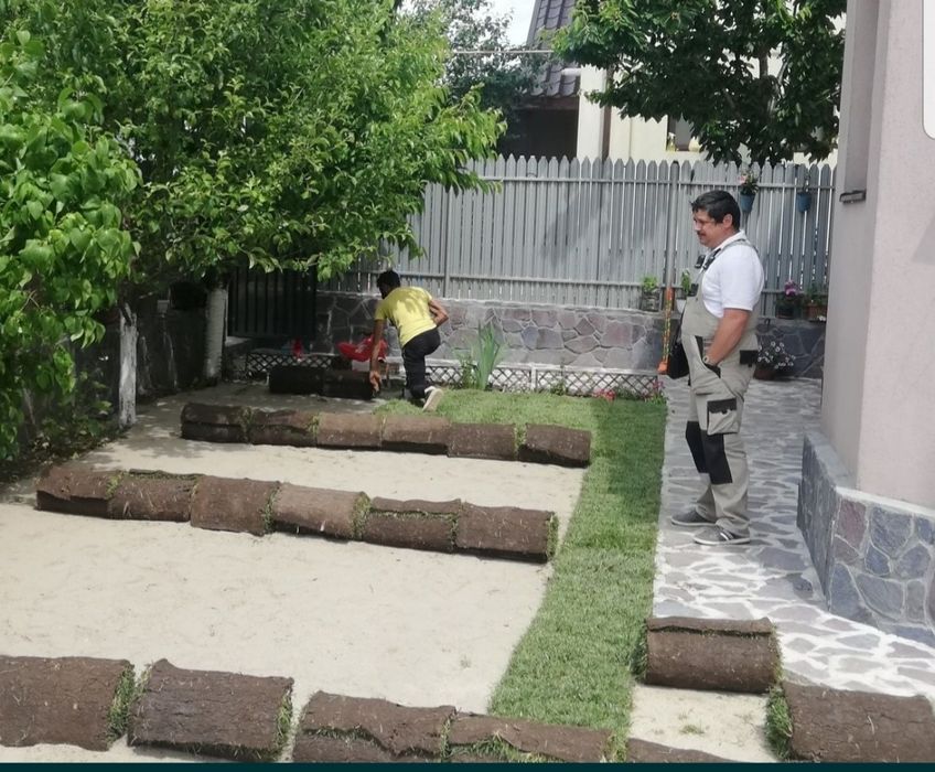 Gazon rulou sport/ tuia smaragd/ piatra alba decorativă