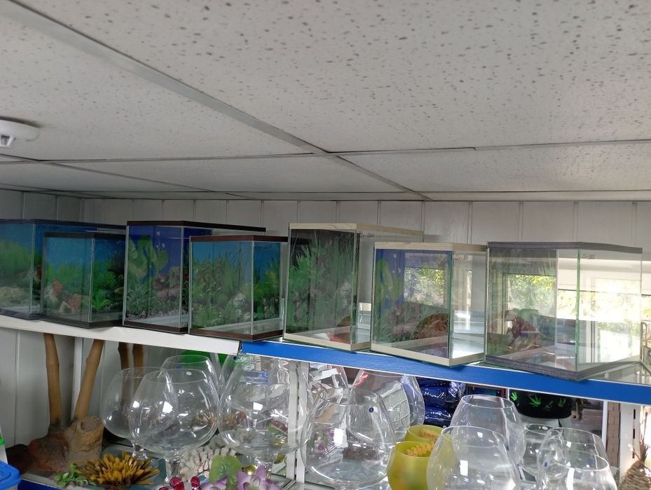 Аквариумы матрёшка