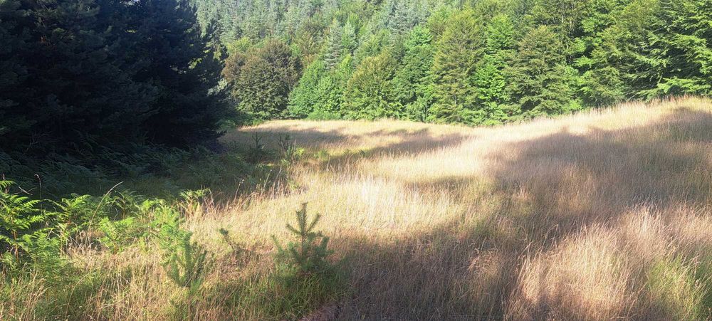 Продава се земя в Родопите