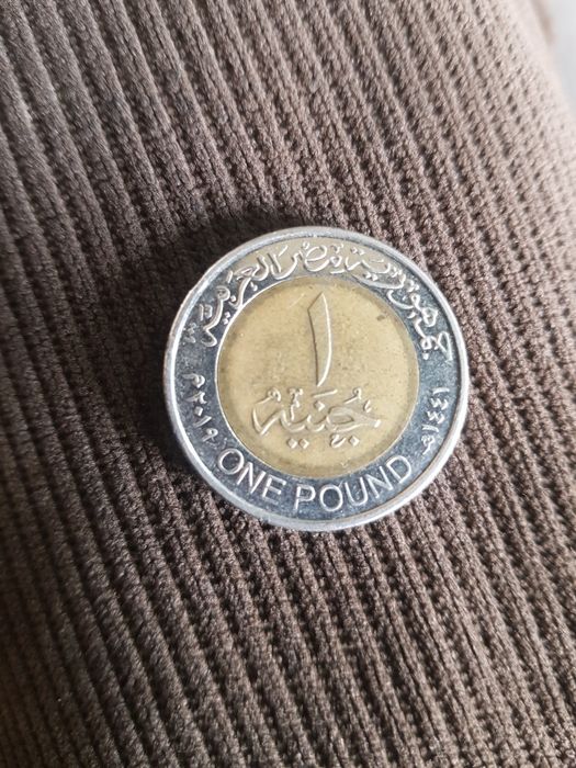 1 ergyt tangasi misr