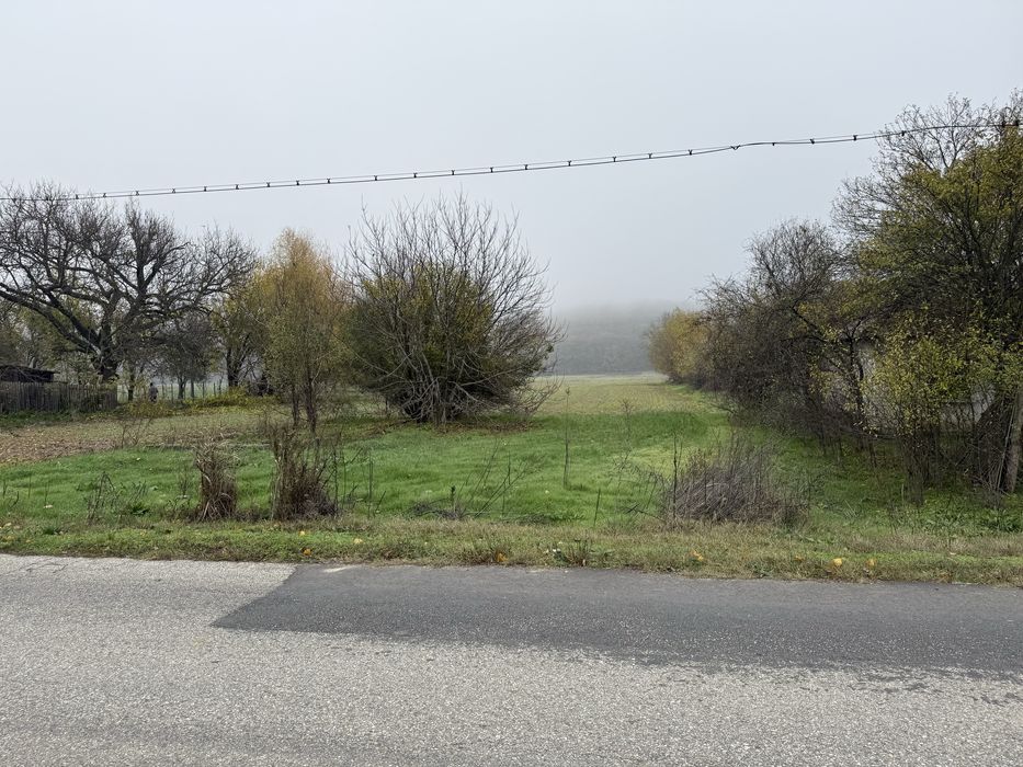 Teren 2500MP Morunglav