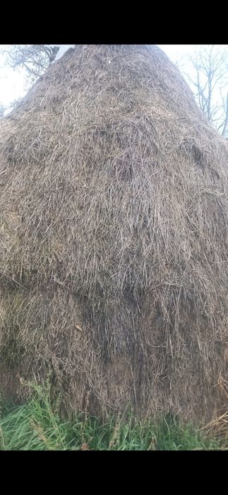 Vand nutret la claie-amestec lucernă+fan.calitate bună 
Vând f