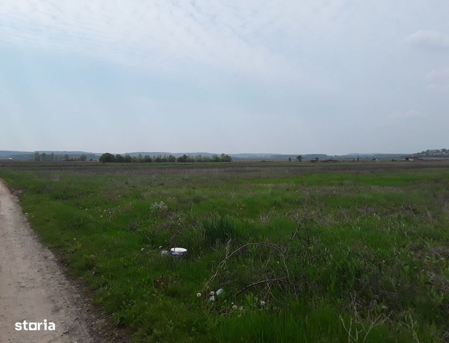 Teren extravilan, Cotofenii din Fata, jud Dolj -id 6954-04.06