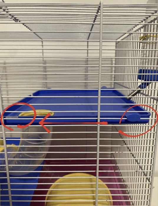 Cusca pentru hamster