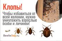Средства от насекомых Dezin go