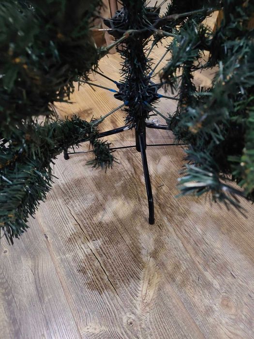 Коледна     елха