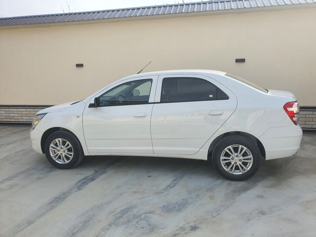 Cobalt 2025 pachka