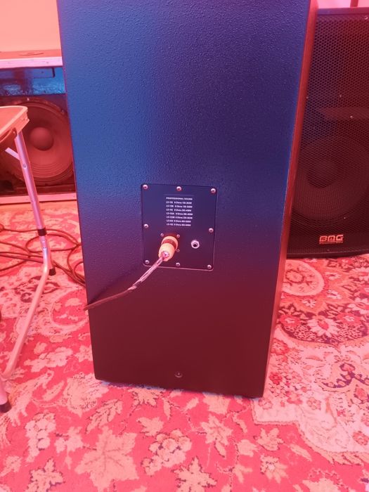 Vând o păreche de Boxe BMG prefesionale 800 de wați una la 8 omy pasiv