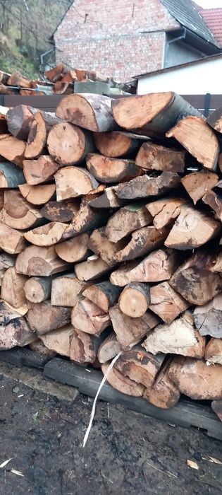 Lemn de foc fag uscat sau verde. Prețul este pe metru ster.