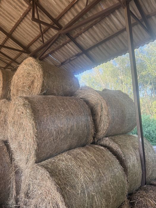 Vand baloti de lucerna