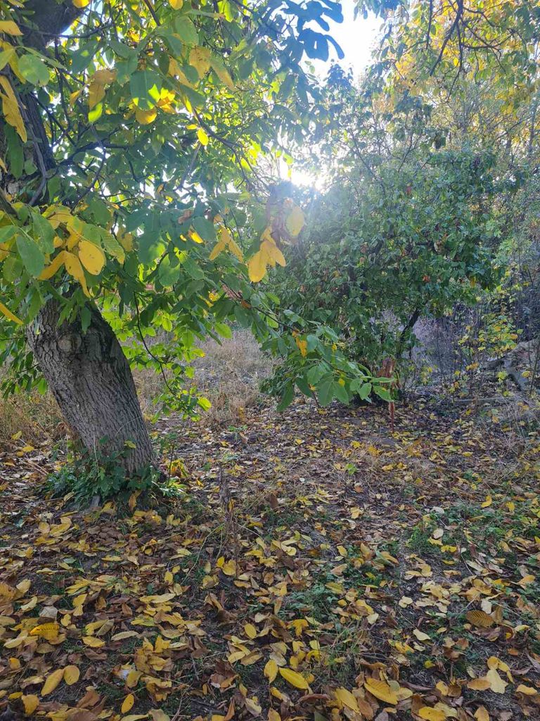 Продава се Къща в с. Слатина, Област Ловеч - 60 кв.м за 51 €/кв.м - Снимка #2