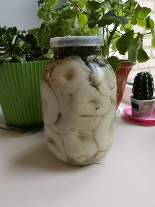 Продам ГРУЗДИ соленые