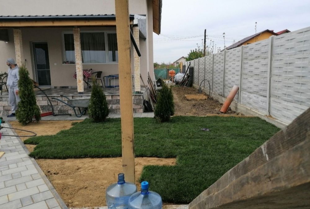 Gazon rulou 24 de lei m2 . Transport și montaj inclus în preț.