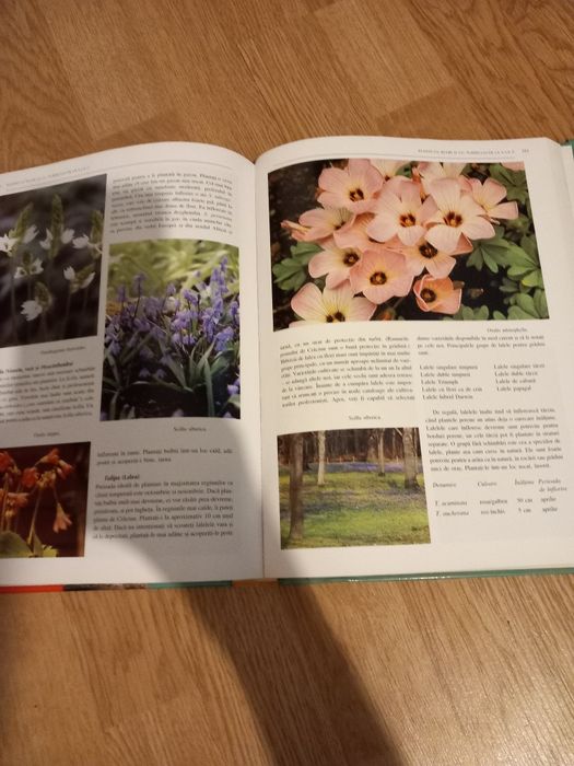 Carte ..carte...carte