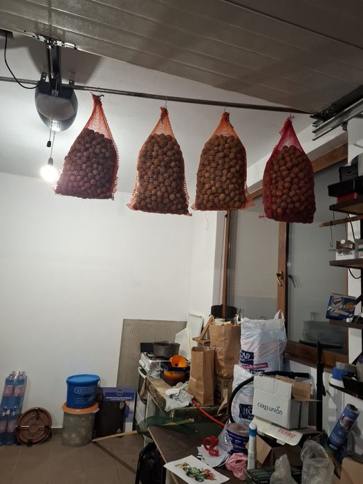 Vînd 4 saci de nuci în coajă de anul acesta