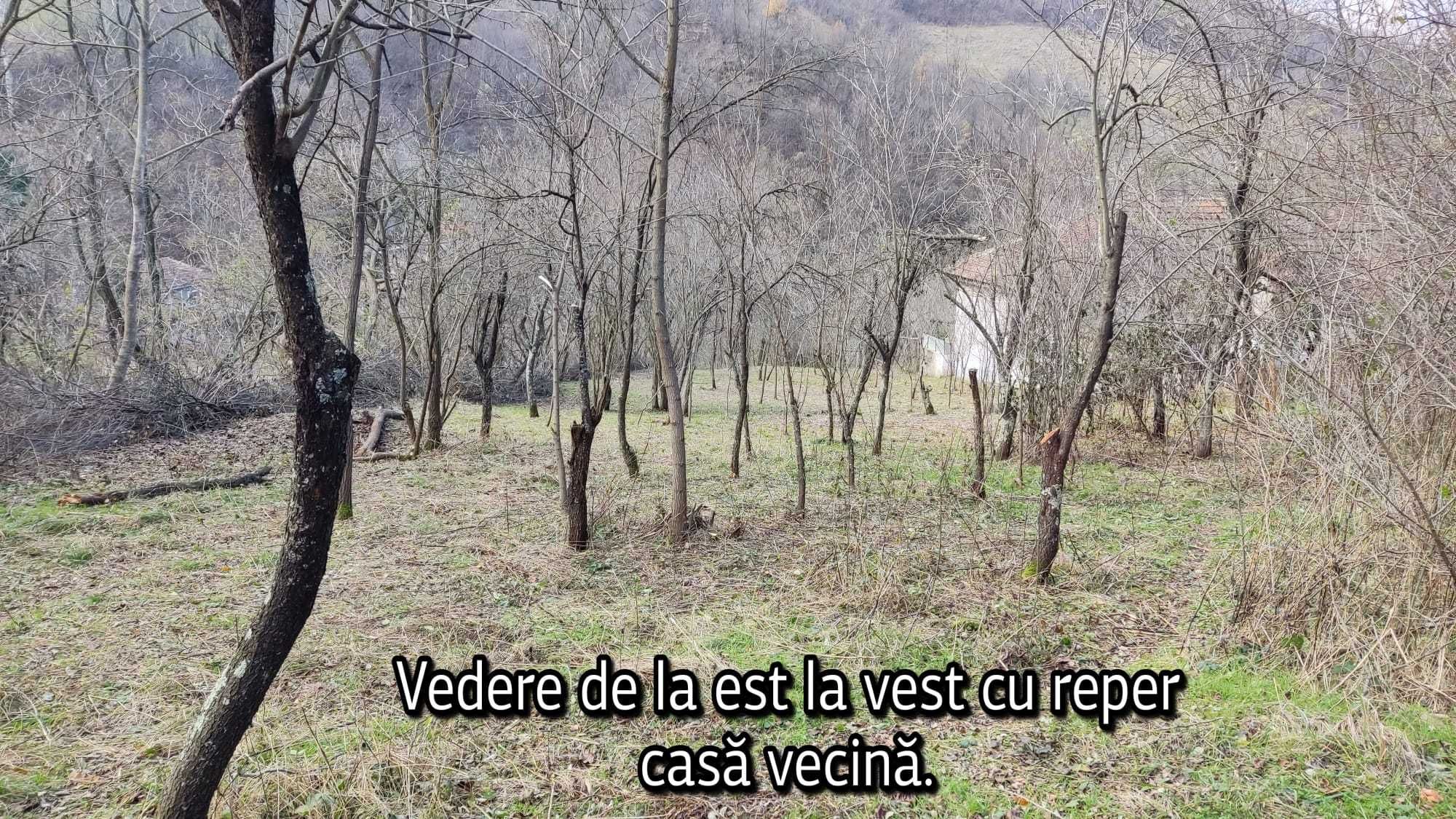 Vând teren 1491 mp intravilan în Băile Herculane/Pecinișca/Păstrăvărie