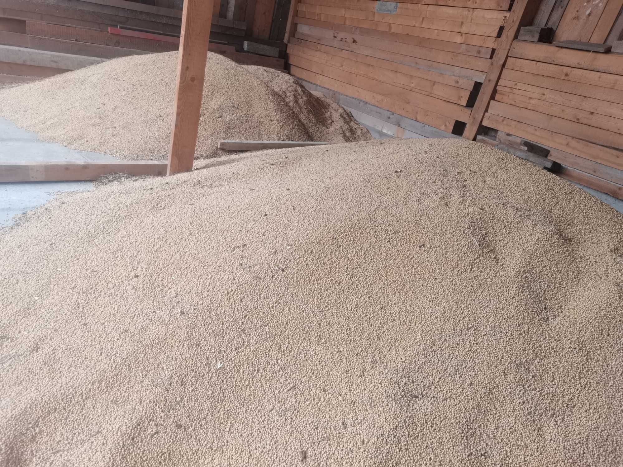 De vănzare soia.