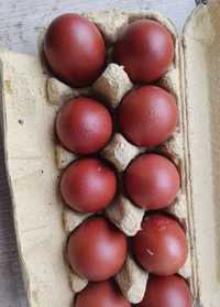 Vând ouă de marans