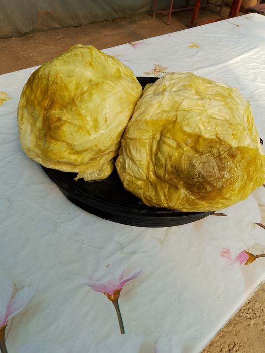 Varză murată, românească nouă