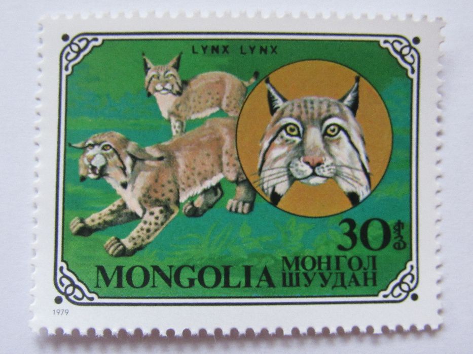 Дивите котки-сет от 7 марки, 1979, Монголия