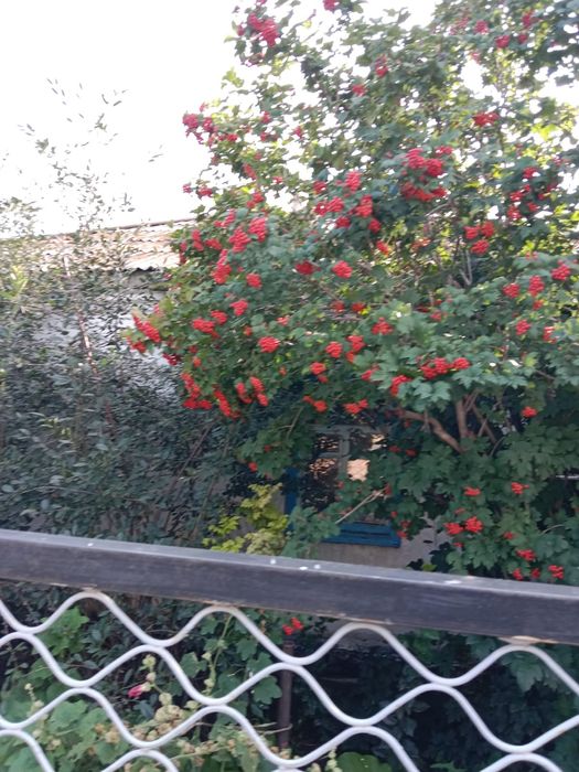 4 бөлмелі жер үй сатылады