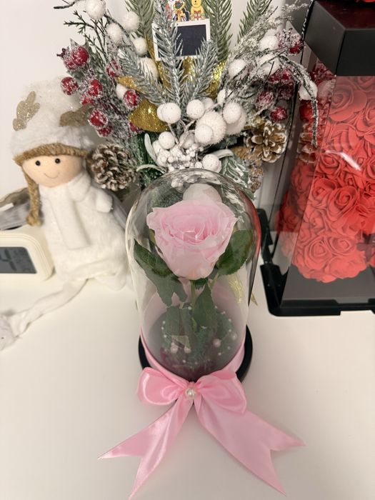 Trandafir criogenat pentru Craciun